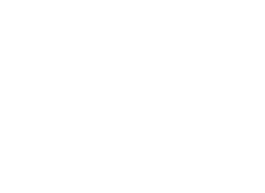 Lewis Marketing Logo