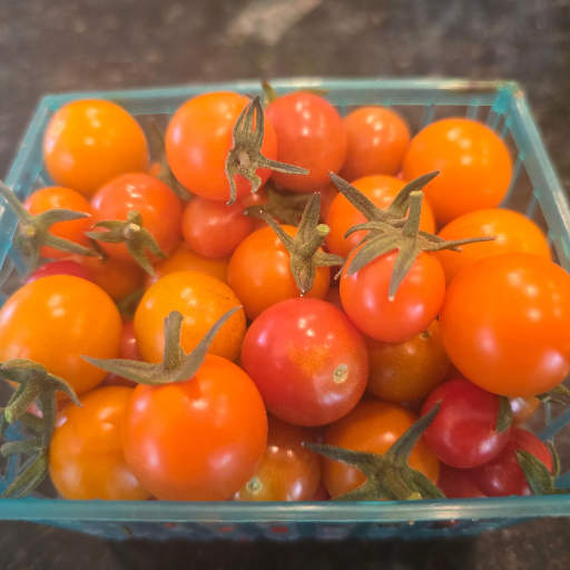 Photo od cherry tomatoes