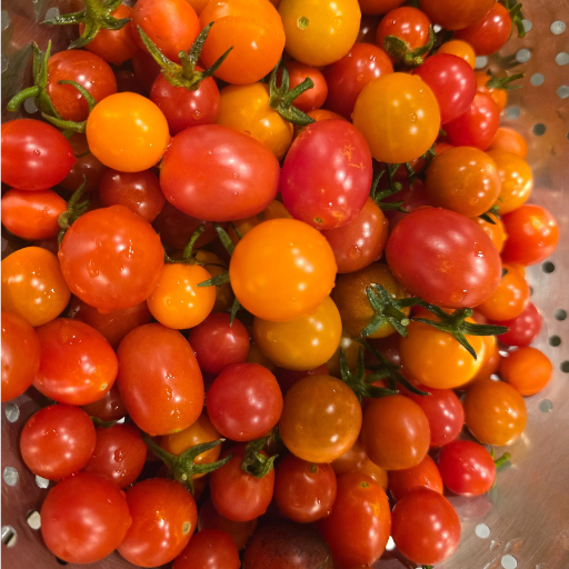 Mixed variety of tomatoes