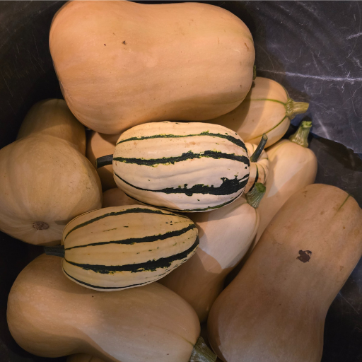 Photo of winter squash
