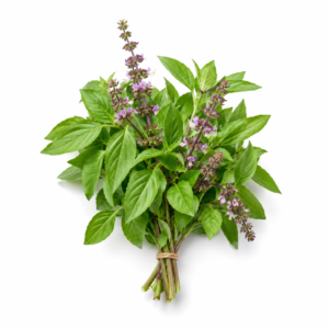 Basil, Thai