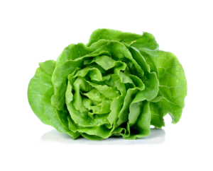 Lettuce, Lil Gem