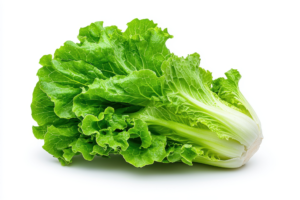 Lettuce, Romaine