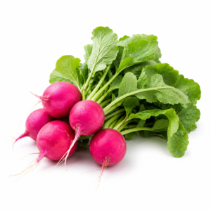 Radishes
