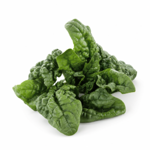Spinach, Heirloom Large Leaf