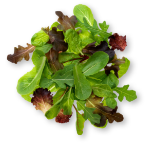 Spring Mix